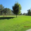 Birchbank1 Birchbank1