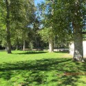 birchbank2 birchbank2
